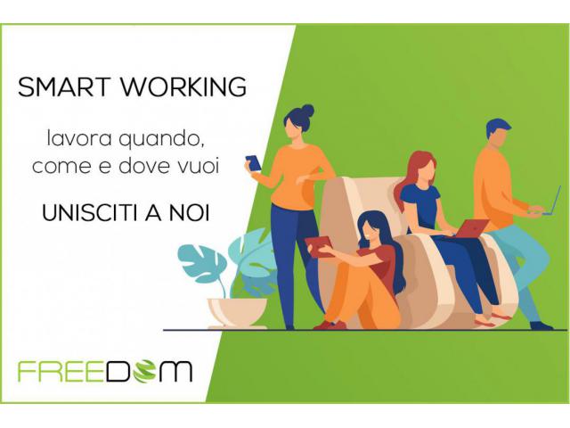 Consulenti Smart Working