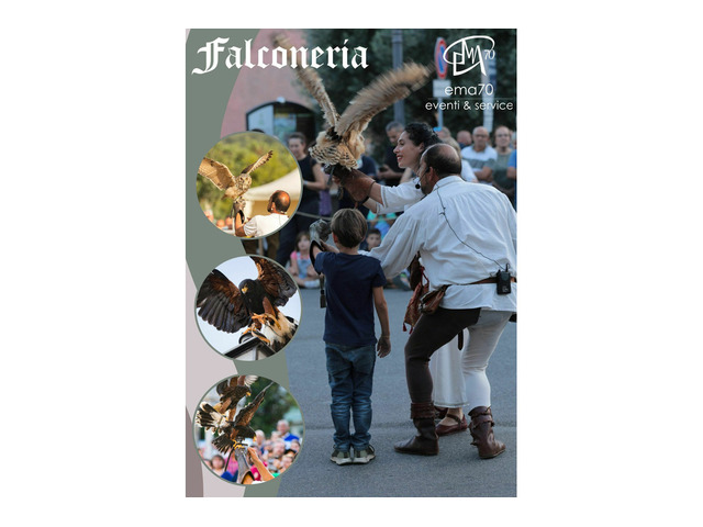 FALCONERIA E DIDATTICA - EVENTI AZIENDALI