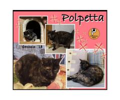 Protezione Micio Onlus: adozione gatta Polpetta